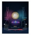 The Anthem of the 2026 FIFA World Cup: What to Expect